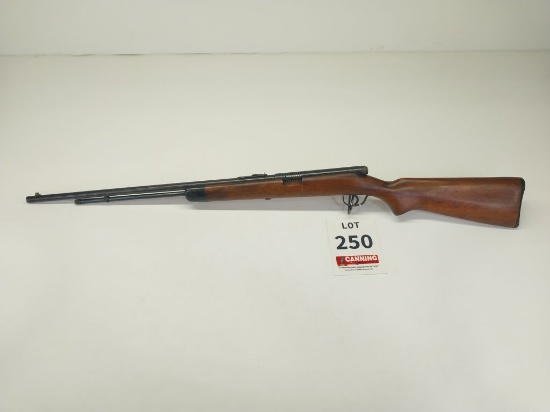 Stevens Model 87B 22CAL