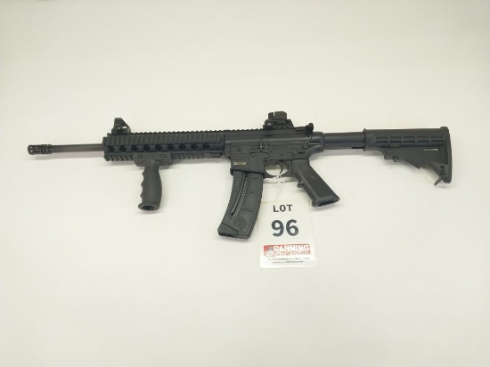 ***Smith & Wesson MP15-22 22CAL