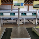 Electric Weighing Scale