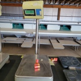 Electric Weighing Scale