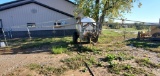 1500GAL Farmco  Sprayer W/comet Diaphragm Pump