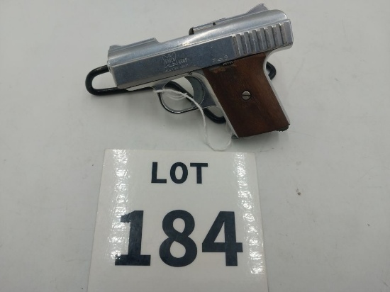Ravens Model P25 25 auto
