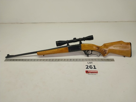 Savage Model 99E 250 savage