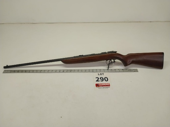 Remington 510 Targetmaster 22