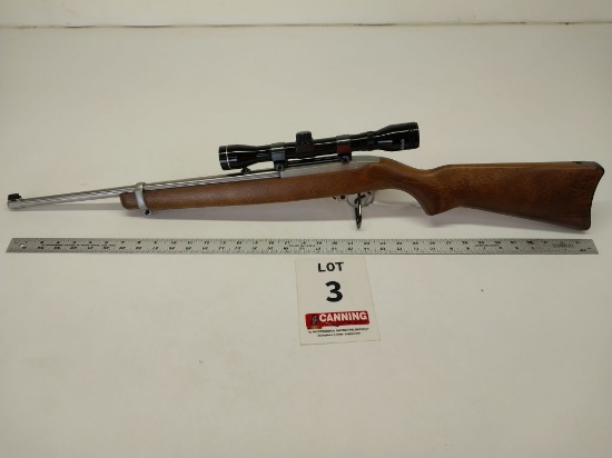 Ruger 10-22 22