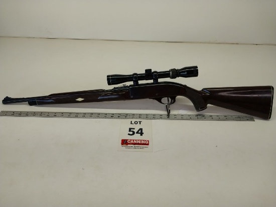 Remington Nylon 66 22 LR