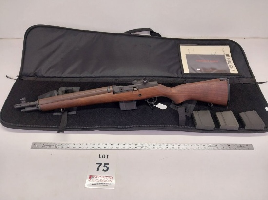 Springfield MIA 308