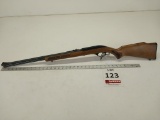 Glenfield Mod 60 22 LR