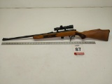 Marlin 25N 22 LR
