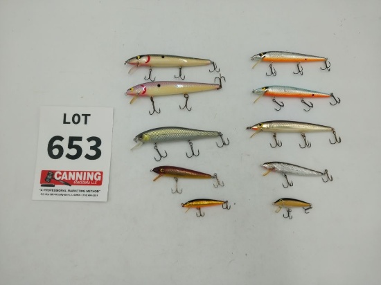 10 assorted stickbaits