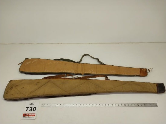 2 soft gun cases