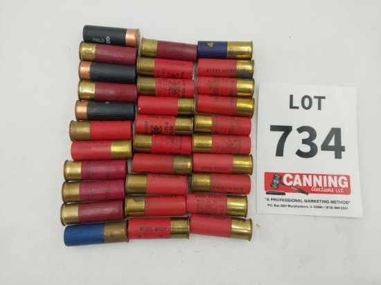 Assorted 12 ga 31 rounds