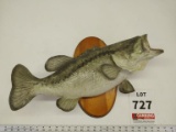 Large mouth bass mount