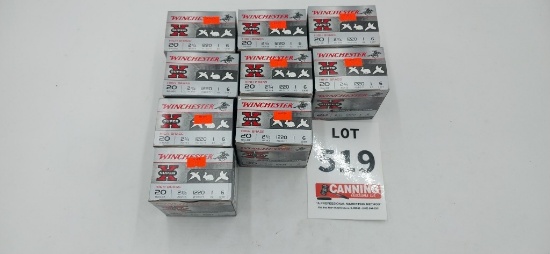 Winchester 20ga 2 3/4" 6 shot shotgun shells 225