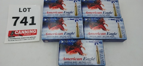 Federal American Eagle 7.62x51mm 100 rounds