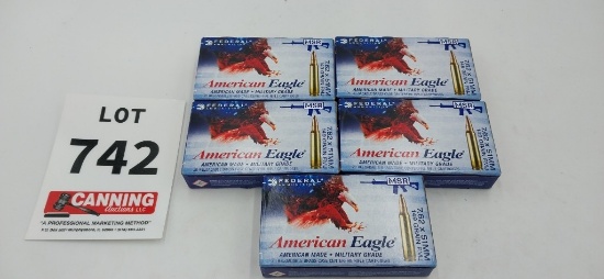 Federal American Eagle 7.62x51mm 100 rounds