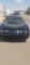 1981 Pontiac Trans Am