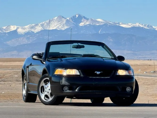 1999 Ford Mustang Cobra Convertible