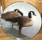 CANADA GEESE FROM THE AMERICAN WATERBIRDS PLATE COLLECTION BY ROD LAWRENCE