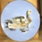 GOLD RIMMED BIRD COLLECTORS PLATE WIGEONS  1991