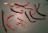 FISHING LOT - WEIGHTS AND RUBBER WORMS