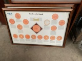 Clinical Eye Charts with Frames