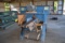 BAKER SINGLE HEAD  BAND RESAW W/ 20HP MOTOR W/ LUMBER RETURN BELT SN#01-3100