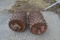 2 HEADS FOR MORBARK DEBARKER