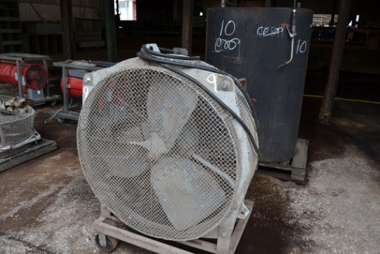 3' FAN
