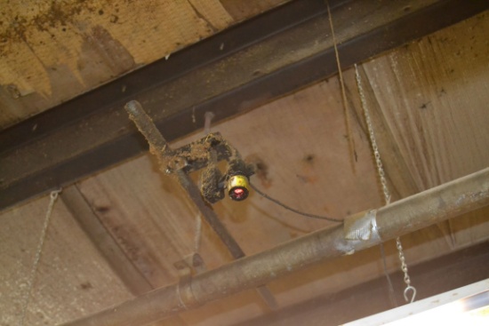 SINGLE LINE LAZER LITE