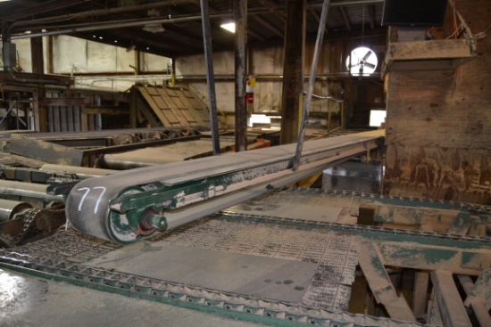8" X 16' RETURN BELT W/DRIVE