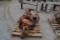 PRENTICE KNUCKLEBOOM GRAPPLE
