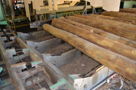CORLEY 50' 4 STRAND HEAVY DUTY LOG DECK W/4 ARM STOP & LOADER W/ NOISE SKIDS W/ HEAVY DUTY ELECTRIC