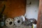 CONTENT OF ROOM W/ TIRES, WHEELS & TRACK PARTS