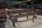 WEST PLAINS 10' 4 STRAND TRANSFER DECK W/#78 CHAIN W/ DRIVE