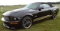 2007 Ford Shelby Mustang GT-H Convertible