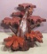 6 Level Cypress Plant Stand/Display Stand