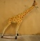 7ft Steiff Giraffe #632400