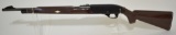 Remington Nylon 66 .22 LR  Semi-Automatic Rifle