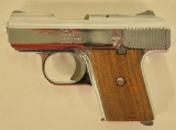 Raven Arms Model MP-25 .25 Cal. Auto Pistol