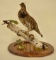 Ruffed Grouse With FanTail On White Birch