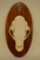 Black Bear Skull Mount On Wall Plaque