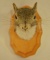 Squirrel Shoulder Mount On Plaque