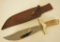 Whitetail Cutlery J-420 Stag Bowie Knife