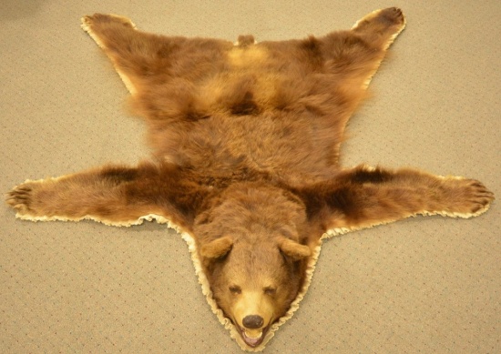 Black Bear rug