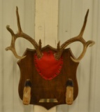 10-Point Deer Antler & Hoof Wall Plaque
