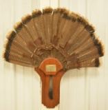 Turkey Feather Wall Plaque
