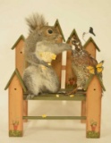 Full Body Squirrel & Bob White Quail Display
