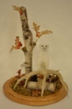 Full Body White Weasel & Deer Antler Display