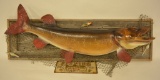 Large Replica Muskie On Barnwood Display